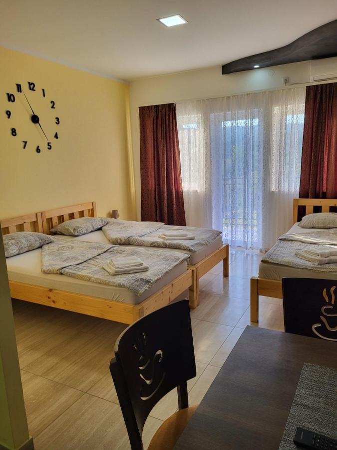 Ra Apartmani Vrdnik Rum bild